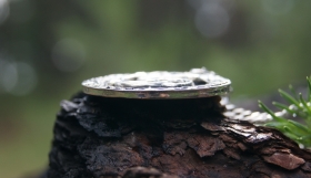 Оберег Алатырь в круге с узором - Серебро (3 см)